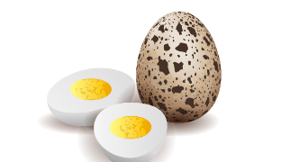 Αυγά ορτυκιού